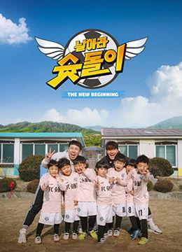 SP女探员美之祭品,美之祭品——探寻神秘事件的背后