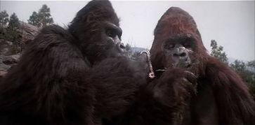 金刚复活,传奇巨兽的世纪回归